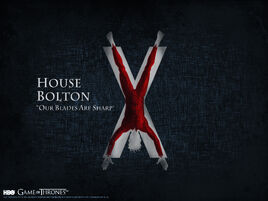 Maison Bolton