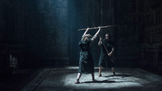 6x03 (Arya, Gamine)