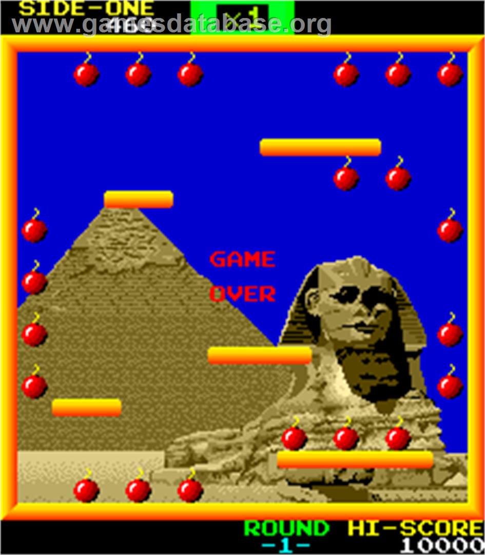 Bomb 2024 jack nes
