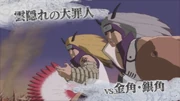 Kinkaku und Ginkaku