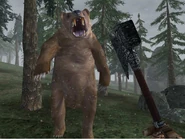 einer eurer tierischen Gegner: der Bär