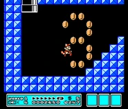 SuperMarioBros3-Gameplay.png (151 KB) Gameplay-Screenshot