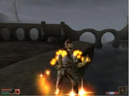 TheElderScrollsIIIMorrowind-Screen01.png (590 KB) hier ist Magie im Spiel