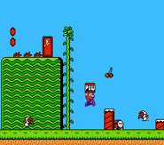 SuperMarioBros2-Gameplay.png (5 KB) Gameplay-Screenshot
