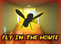 Fly in the House