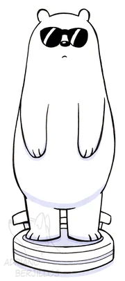 1508362306.corgi wpolar