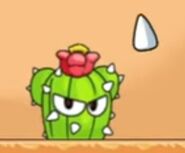 Cactuses