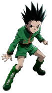 Gon Freecss