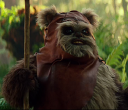 Wicket Wystri Warrick