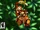 Donkey Kong Racing (WiiU)