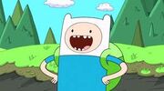 Finn