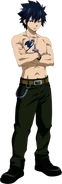 Gray Fullbuster (Fairy Tail)