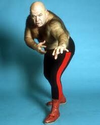 George "The Animal" Steele