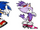 Sonic Rush Universe