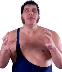 Andre the GIant