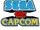 Sega Vs. Capcom (RedTheHedgehog140)