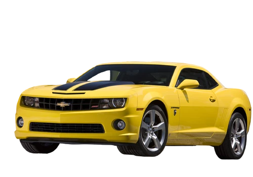 2010 Chevrolet Stock Camaro
