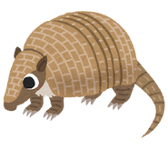 Armadillos