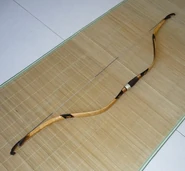 Composite Bow