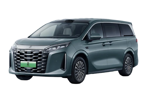 2026 BYD Stock M9