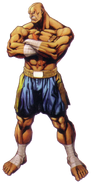 Sagat