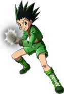 Gon Freeccss