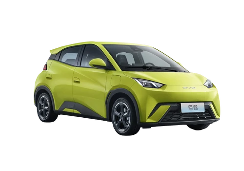 2025 BYD Stock Seagull