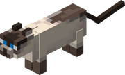 5E05EFE2-5DD7-429A-9BC8-294534861448