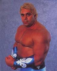 Dino Bravo