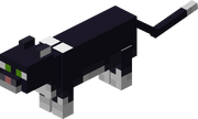 0A300E55-7486-45E6-AE4F-CDBFA4725227