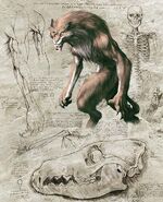 The Zoanthropes the next stage in the human evolution.