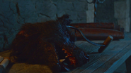 Cabeça de Cão Felpudo apresentada por Pequeno Jon Umber a Ramsay Bolton.