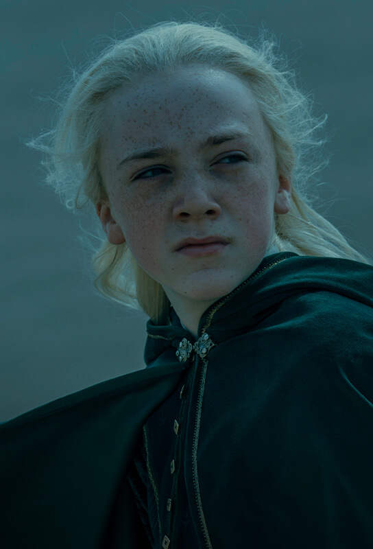 Which Targaryen kid loses his eye in House of the Dragon Episode 7?