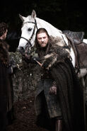 Promotional image of Eddard in the first season.