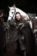 Lord Eddard Stark