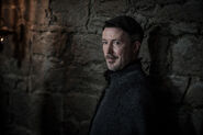 707 Petyr Baelish 4