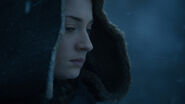 707 Sansa Stark 2