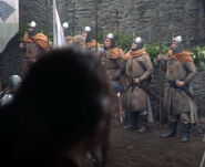 Baratheon men-at-arms wearing true-color Baratheon badges.