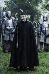 604 DasBuchdesFremden Petyr Baelish(1)