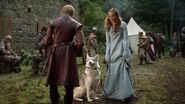 102 Sansa und Lady2