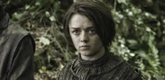 GameOfThronesS3-18.jpg (256 KB) Arya in "Second Sons."