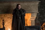 706 Sansa Stark 4