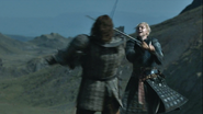 Brienne fighting hound