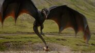 Drogon, now a massive adolescent, towers over a peasant.