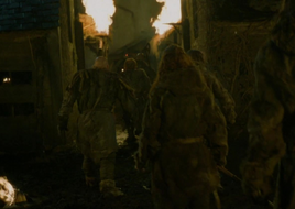 Sack of Mole's Town