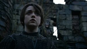 208DerPrinzvonWinterfellArya1.jpg