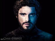 Promotional image of Robb Stark.