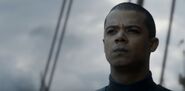 GreyWorm806