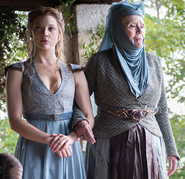 Unlike Dress A and Dress B, Dress C doesn't have the golden metal belt piece in the front with a gold Tyrell rose in the center (which Olenna's dress does have in this image).