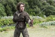 Arya Stark-First of his Name